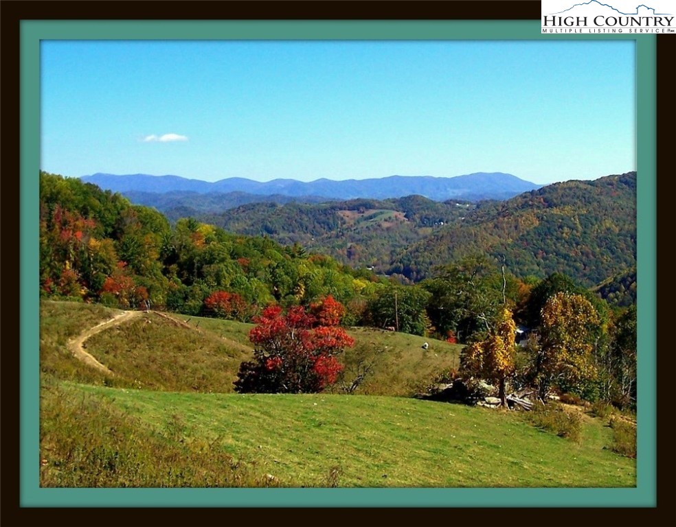 891 Russell Norris Road Elk Park, NC 28622 - Photo 45 of 46 Gallery Image 45
