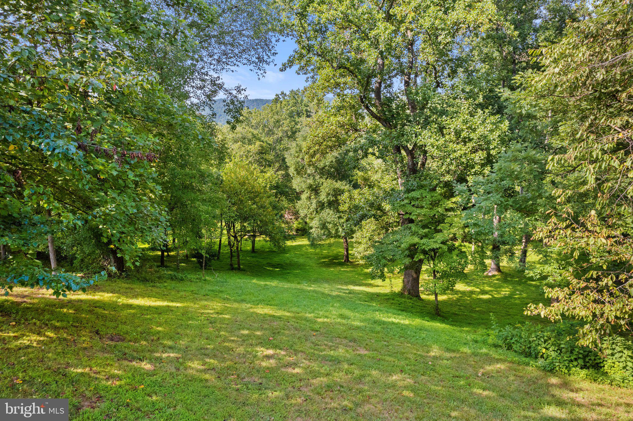 12147 Moss Hollow Road Markham, VA 22643 - Photo 41 of 46 Gallery Image 41