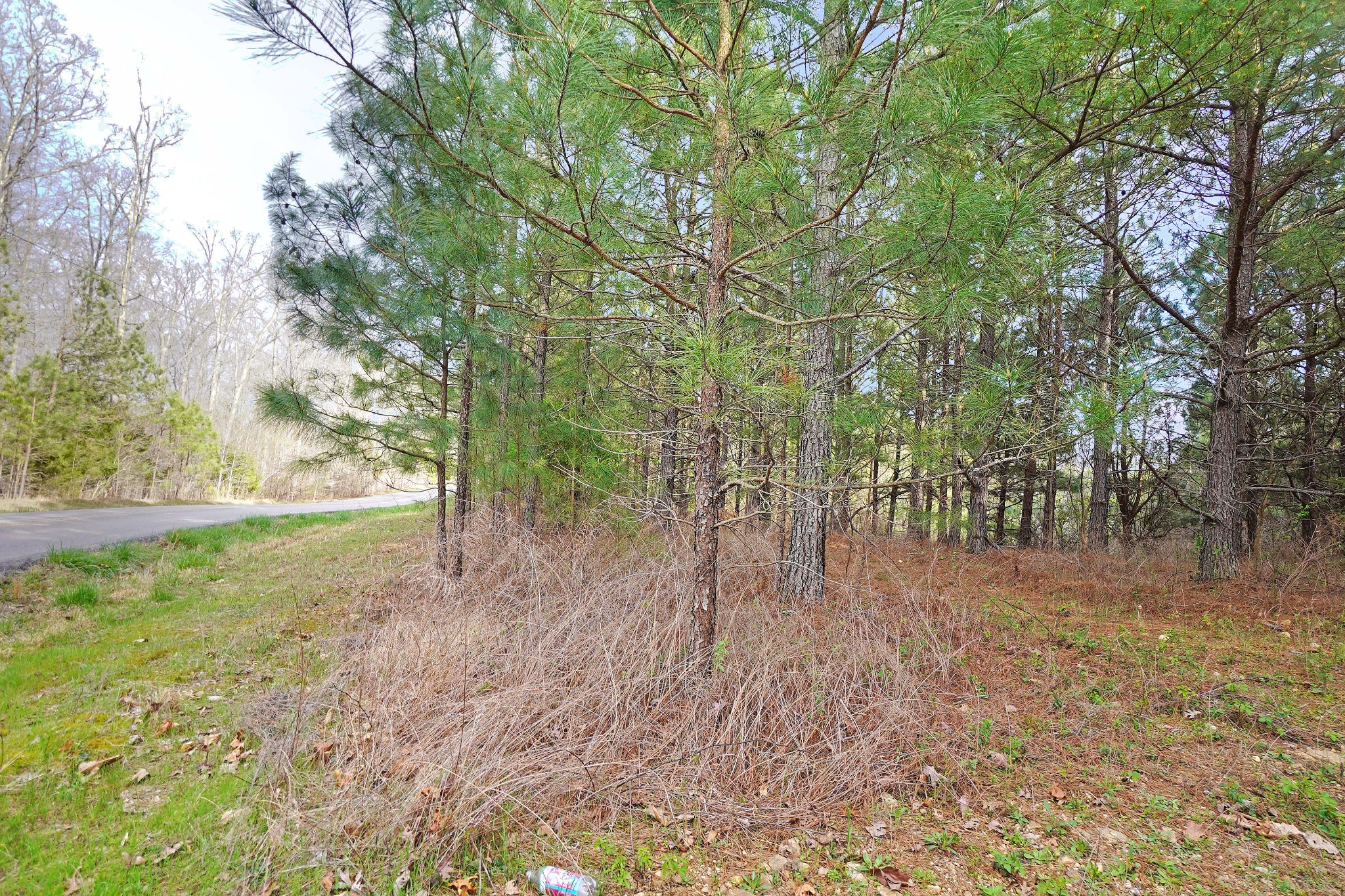 21 Cottrell Ridge Road Dover, TN 37058 - Photo 3 of 14 Gallery Image 3