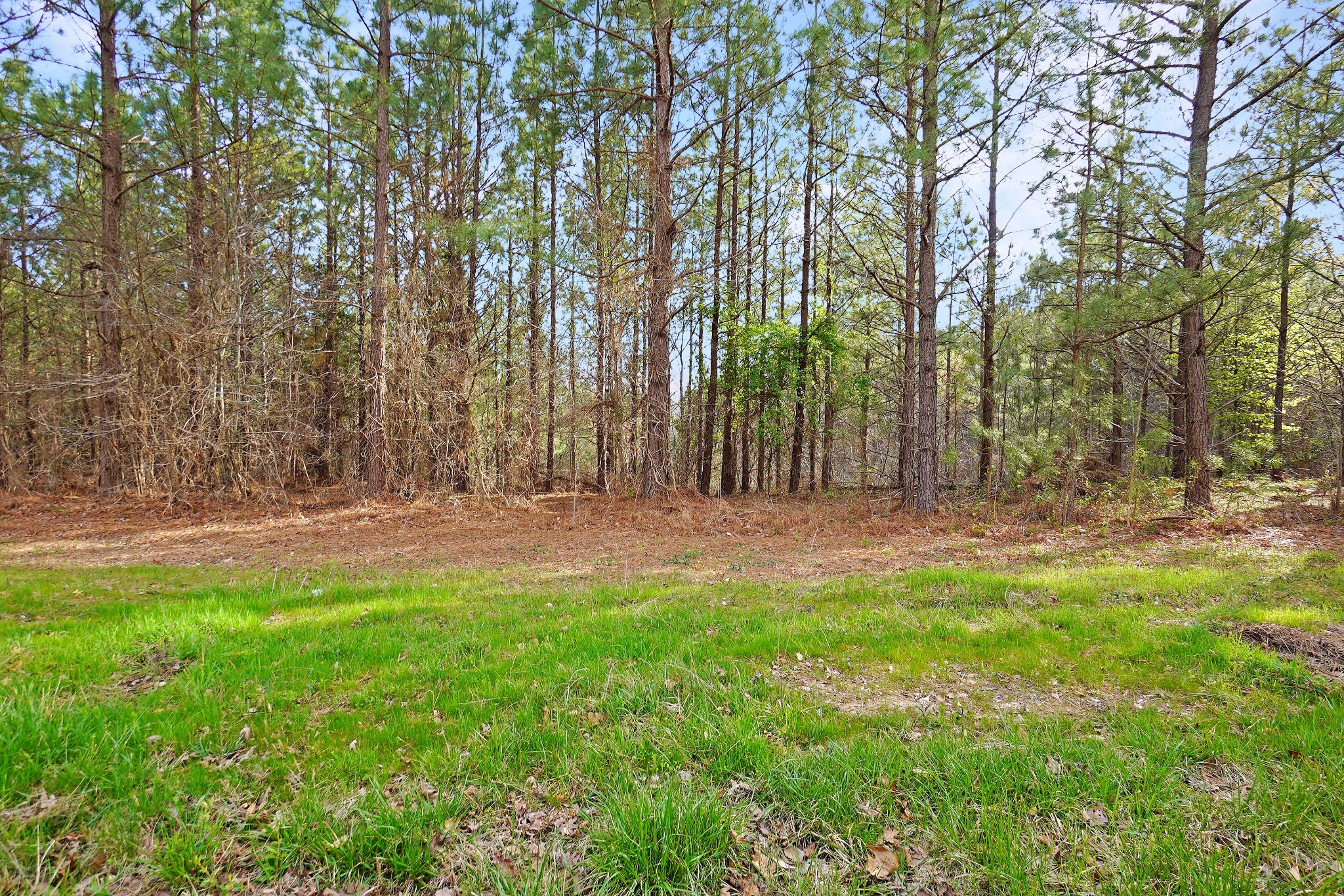 21 Cottrell Ridge Road Dover, TN 37058 - Photo 5 of 14 Gallery Image 5