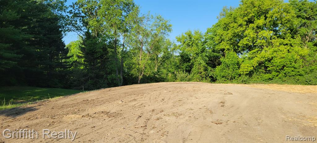 11641 Hyne Road Brighton, MI 48114 - Photo 2 of 7 Gallery Image 2
