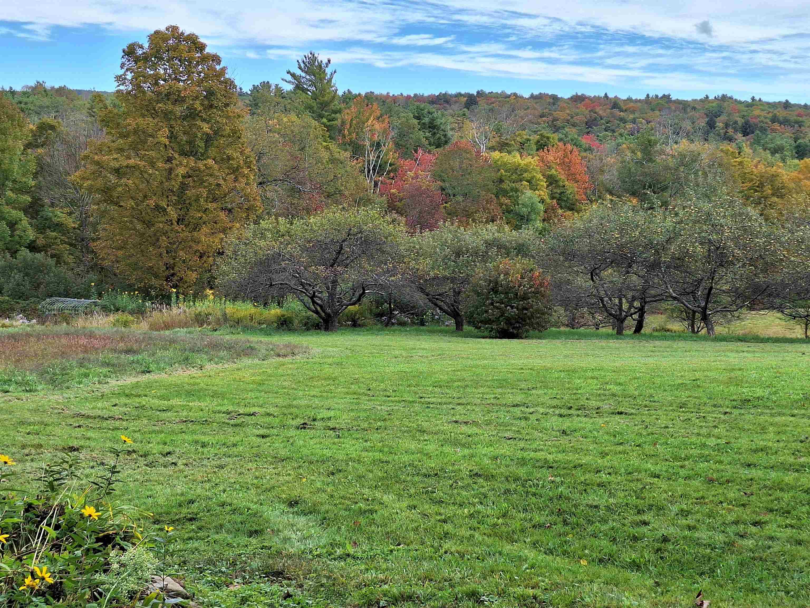164 Cold Pond Road Acworth, NH 03601 - Photo 13 of 41