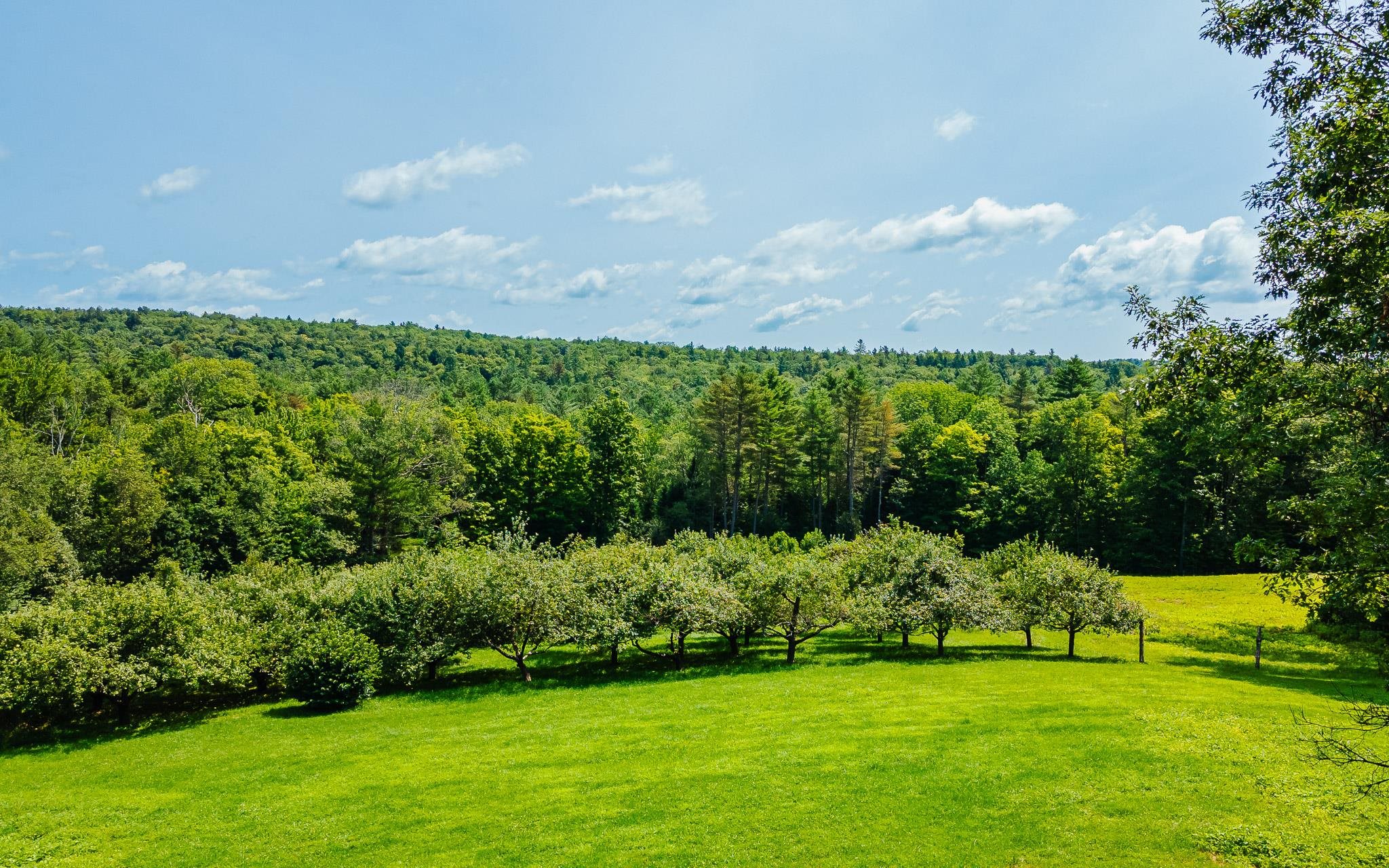 164 Cold Pond Road Acworth, NH 03601 - Photo 38 of 41