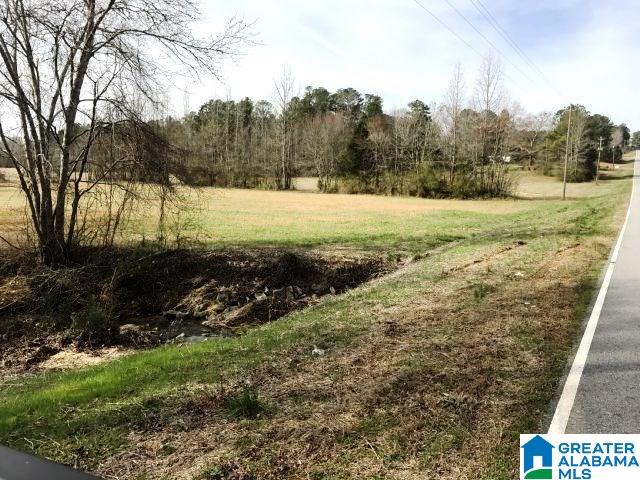 824 County Road 36 Heflin, AL 36264 - Photo 11 of 26