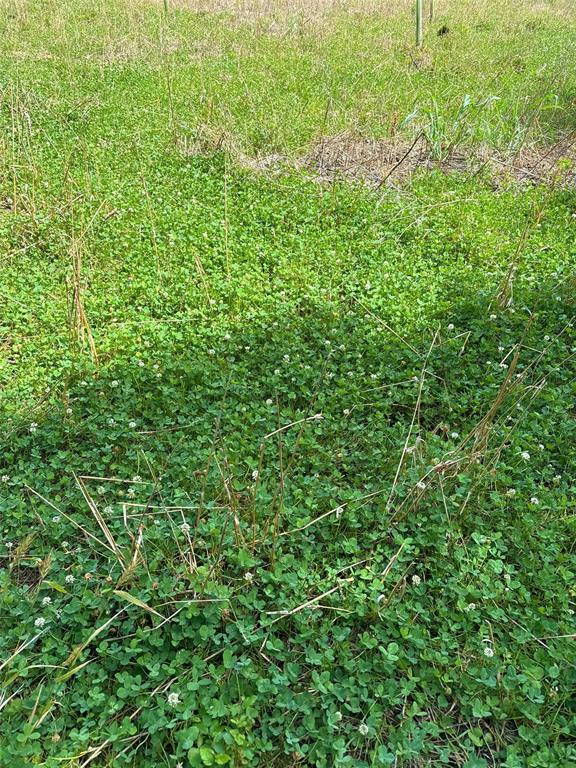0 Bee Creek Road Maypearl, TX 76064 - Photo 2 of 39