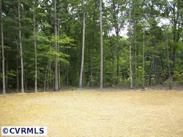 1126 Deep Run Road Cartersville, VA 23027 - Photo 5 of 5 Gallery Image 5