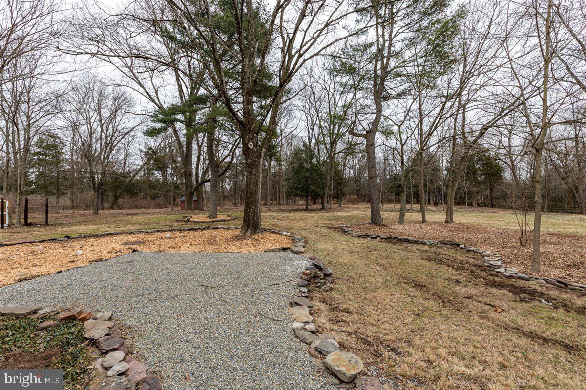 381 Mountain View Road Skillman, NJ 08558 - Photo 34 of 39 Driveway to backyard