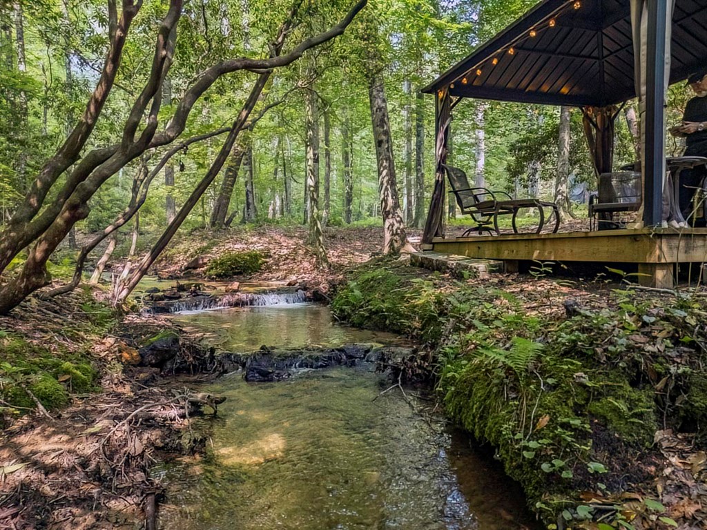 781 Mangum's Trail Blue Ridge, GA 30513 - Photo 2 of 65 Callahan Branch Frontage