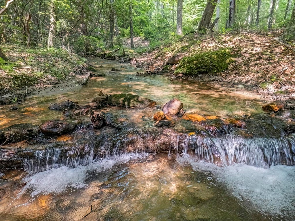 781 Mangum's Trail Blue Ridge, GA 30513 - Photo 26 of 65 a view of a lake with lots of trees