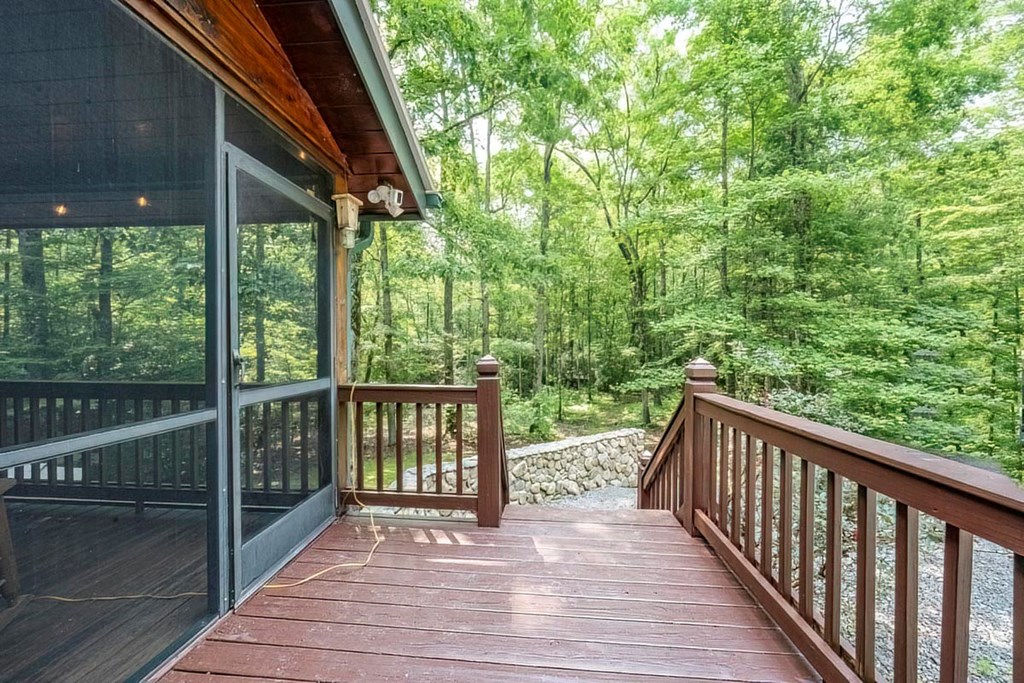 781 Mangum's Trail Blue Ridge, GA 30513 - Photo 44 of 65 a view of balcony and deck