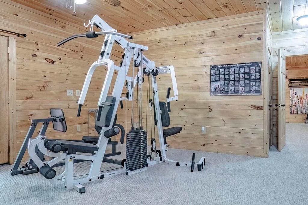 781 Mangum's Trail Blue Ridge, GA 30513 - Photo 54 of 65 a view of a room with gym equipment
