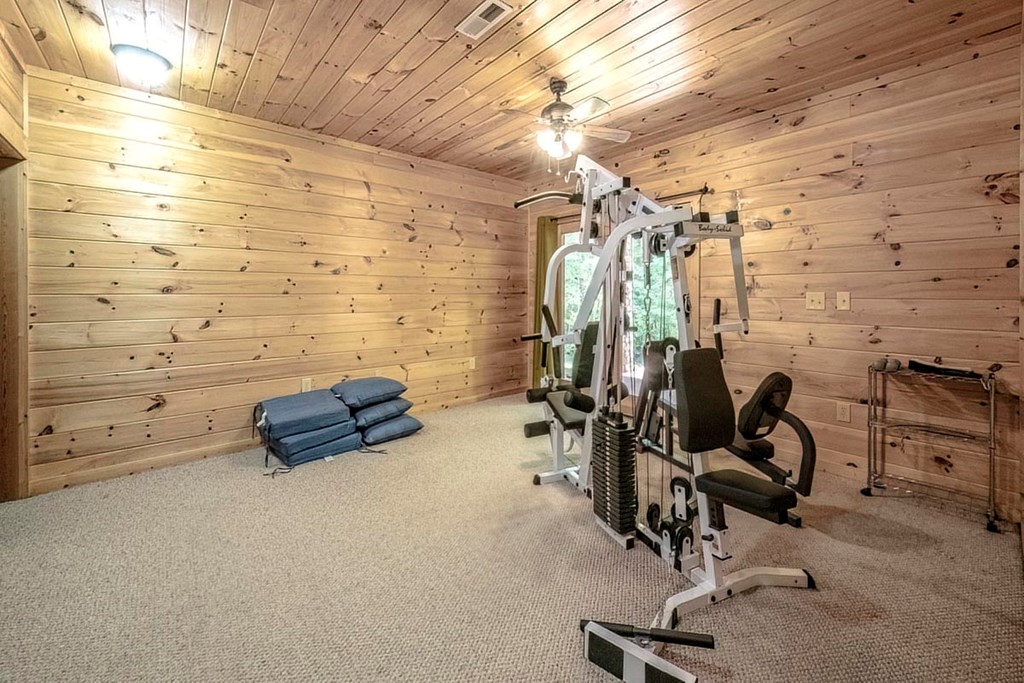 781 Mangum's Trail Blue Ridge, GA 30513 - Photo 55 of 65 a view of a room with gym equipment