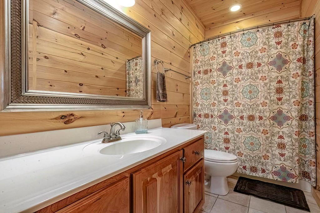 781 Mangum's Trail Blue Ridge, GA 30513 - Photo 56 of 65 a bathroom with a sink toilet and shower