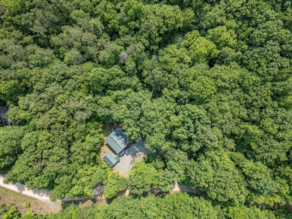 781 Mangum's Trail Blue Ridge, GA 30513 - Photo 57 of 65 an aerial view of residential house with outdoor space and trees around