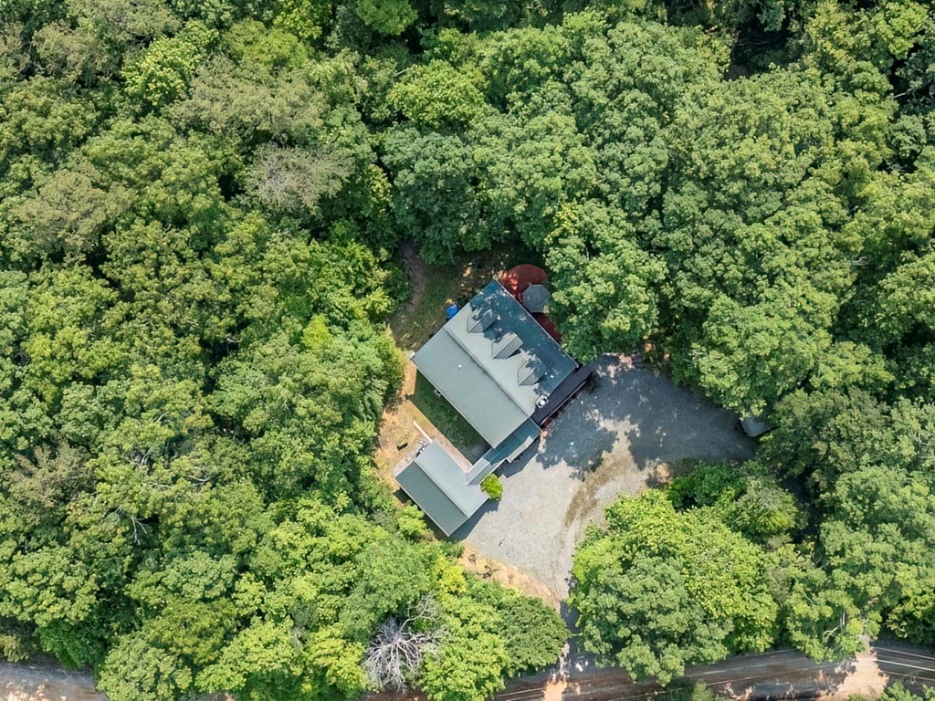 781 Mangum's Trail Blue Ridge, GA 30513 - Photo 58 of 65 an aerial view of a house with a yard
