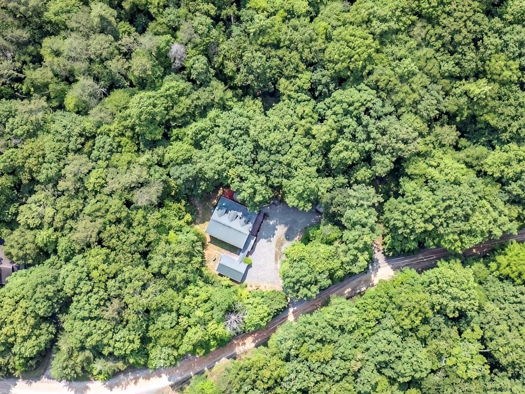 781 Mangum's Trail Blue Ridge, GA 30513 - Photo 6 of 65 Private 1.3 Acre Lot