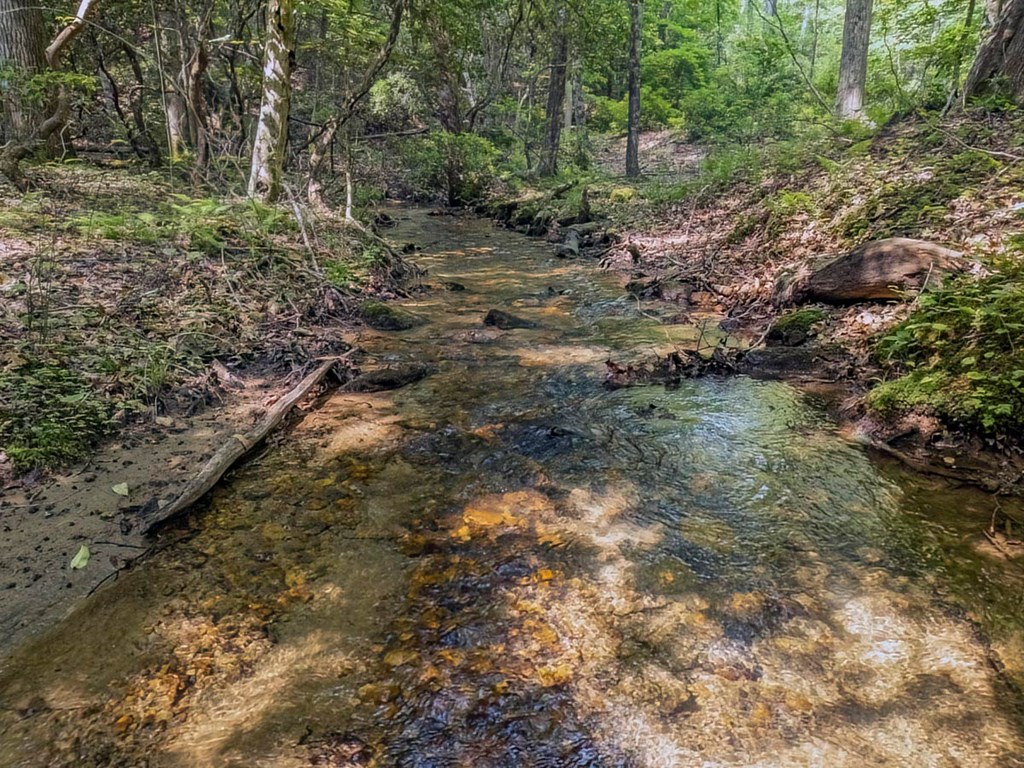 781 Mangum's Trail Blue Ridge, GA 30513 - Photo 63 of 65