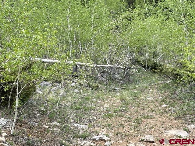 766 Rd Pitkin Co 81241 Road Ohio City, CO 81237 - Photo 10 of 18