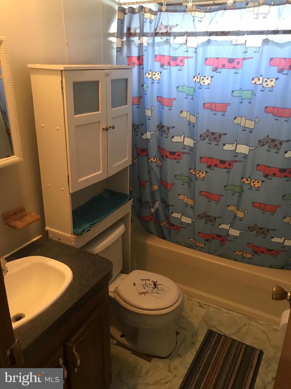 117 Riddle Drive Aberdeen, MD 21001 - Photo 11 of 17 Bathroom #2
