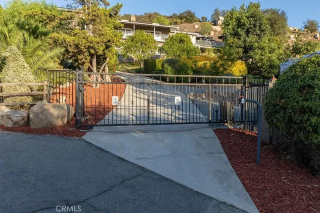 a view of a large tree