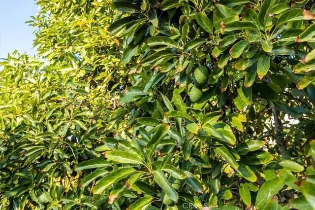 an aerial view of residential houses and outdoor space