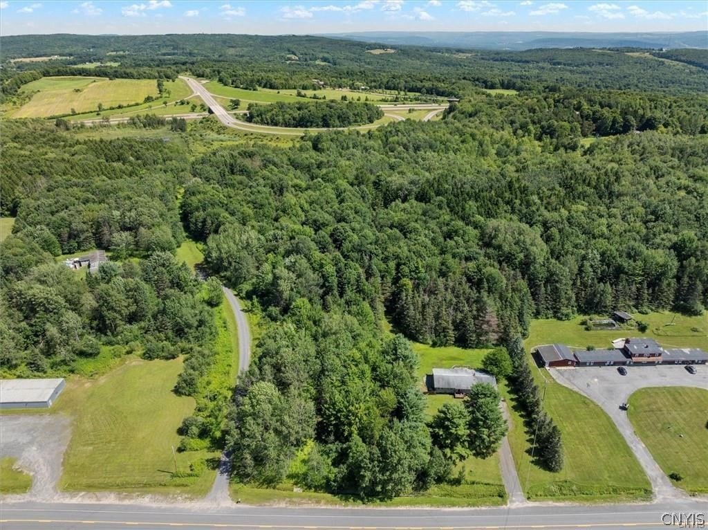 0 Trenton Road Deerfield, NY 13502 - Photo 2 of 24