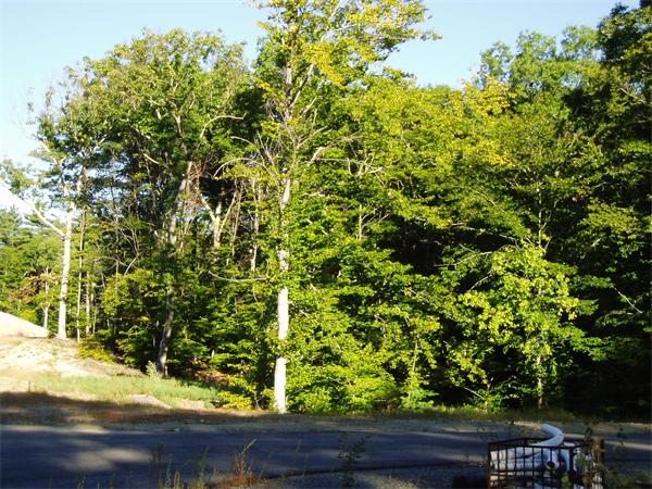 0 Lot 000 County Road Wareham, MA 02571 - Photo 1 of 1 Gallery Image 1