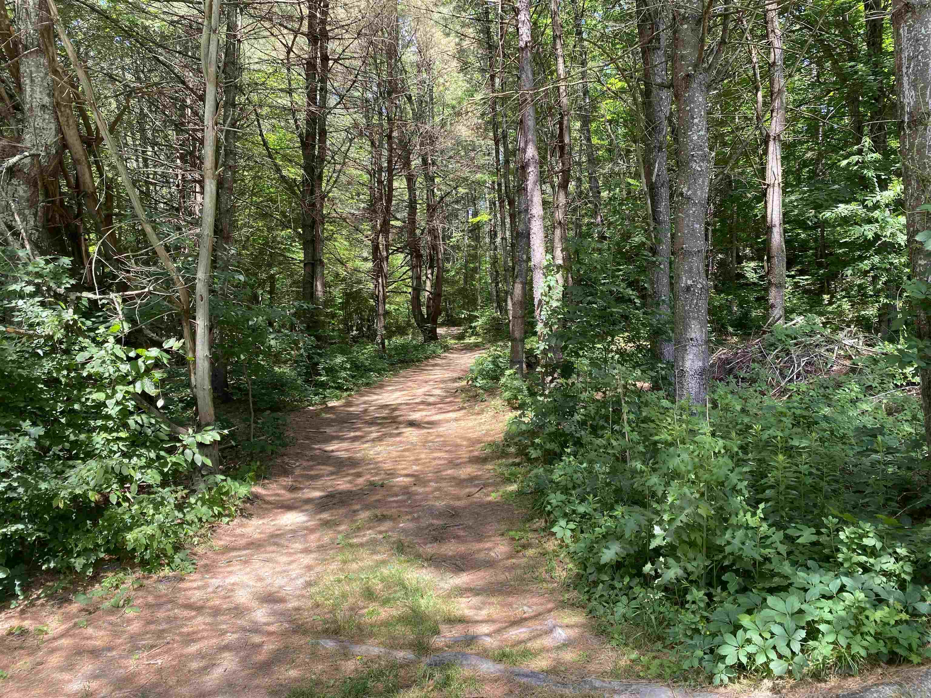 80 Endless Brook Road Poultney, VT 05764 - Photo 10 of 12 Gallery Image 10