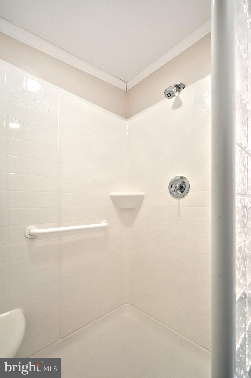 267 Runaway Road Abbottstown, PA 17301 - Photo 30 of 38 a bathroom with a shower