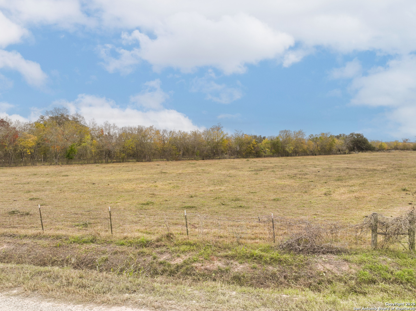 Tbd County Road 671 Devine, TX 78016 - Photo 11 of 21