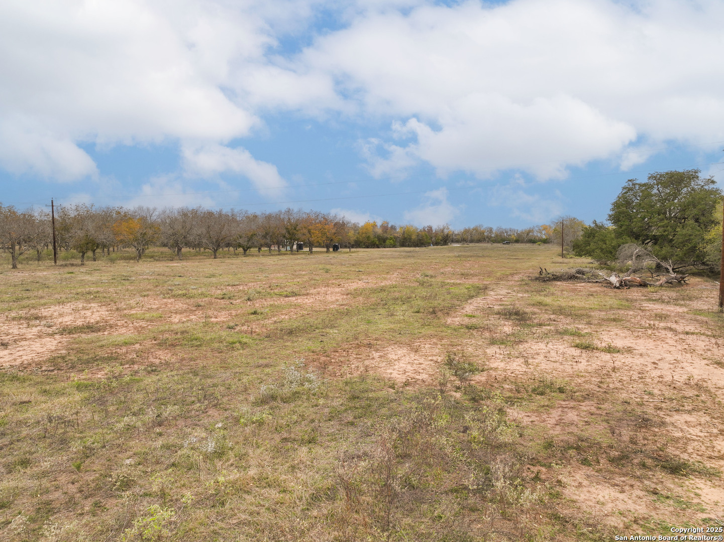 Tbd County Road 671 Devine, TX 78016 - Photo 17 of 21