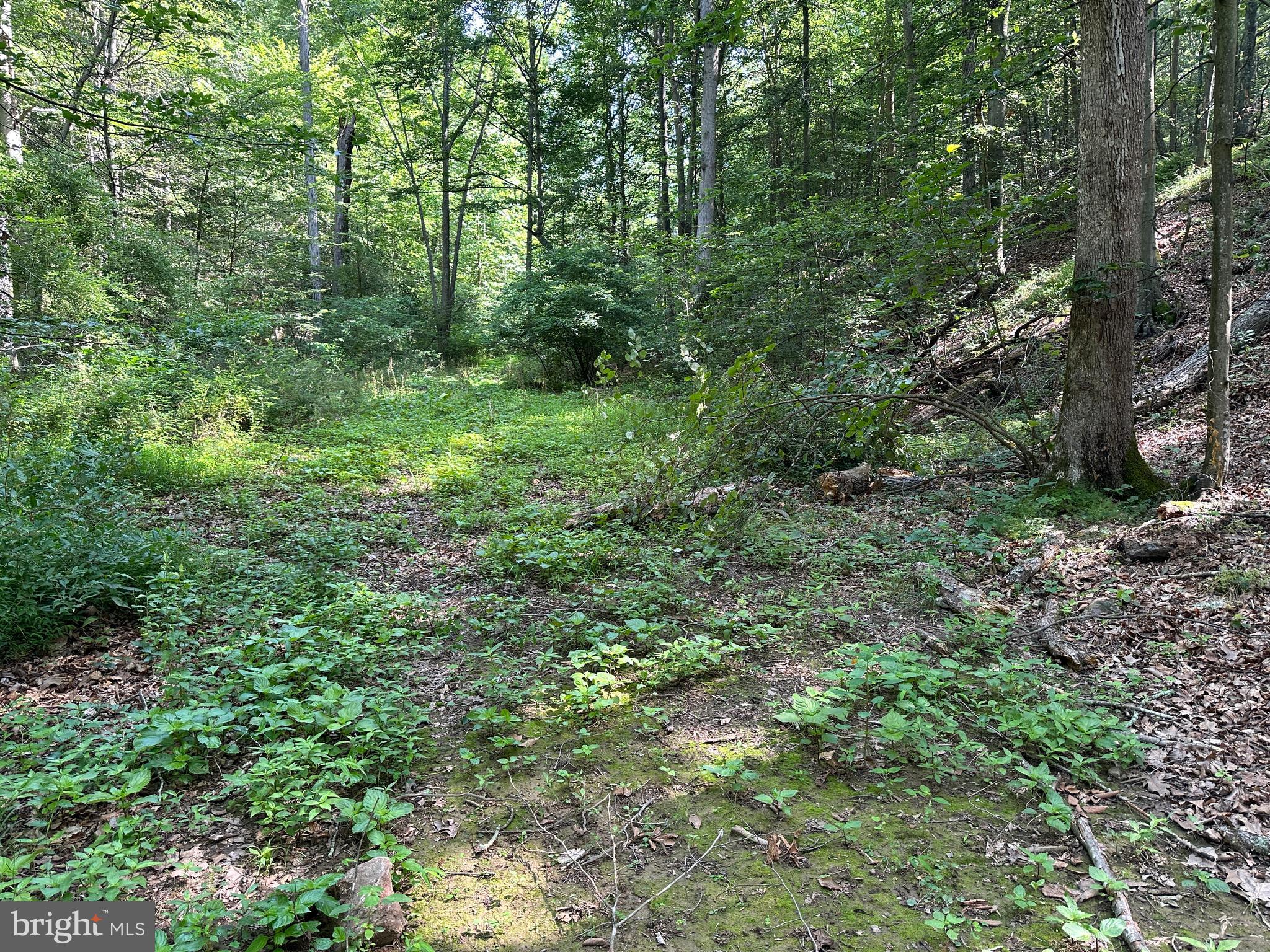 14118 Indian Springs Road Big Pool, MD 21711 - Photo 28 of 30