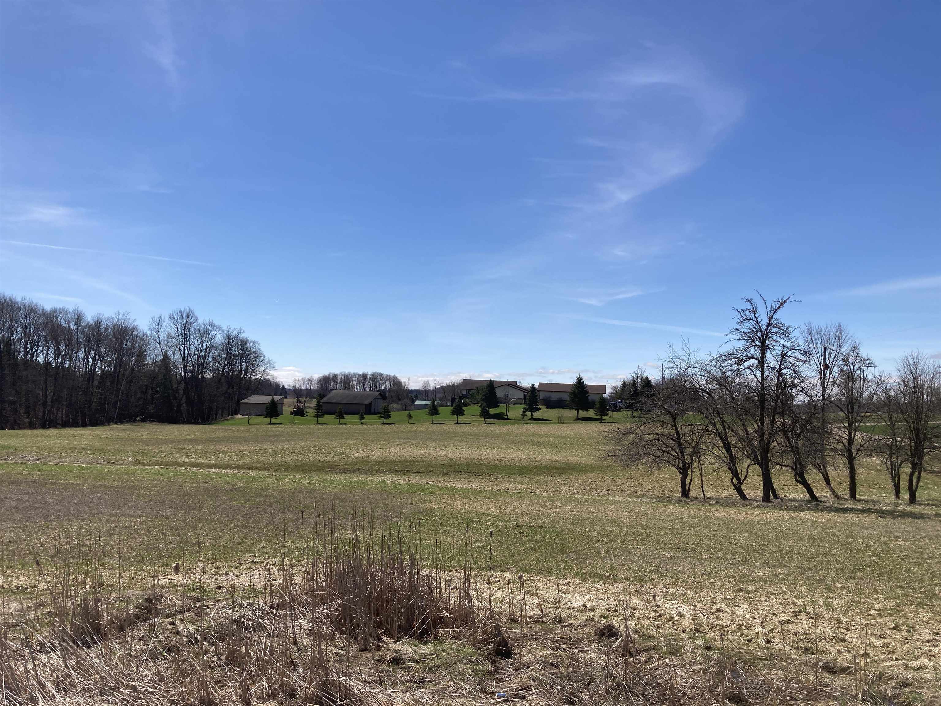 3450 Reasner Road Rose City, MI 48654 - Photo 9 of 87