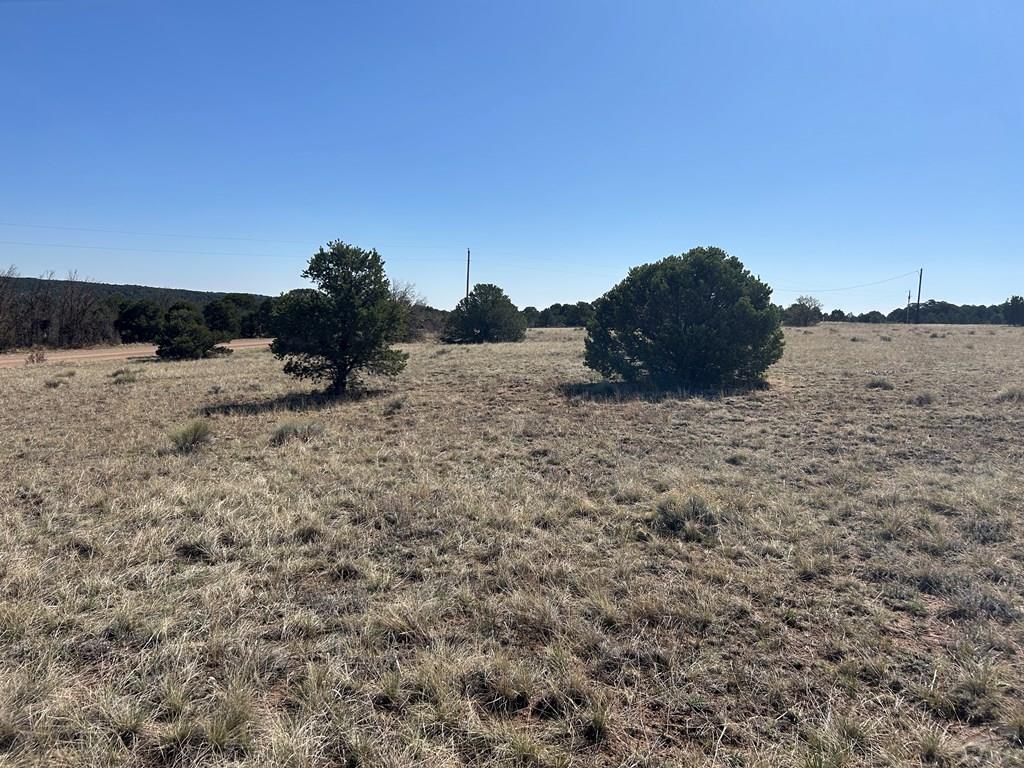 Lot 94 Navajo Ranch Walsenburg, CO 81089 - Photo 4 of 15 a view of a dry field with a mountain in the background