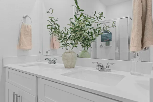 a bathroom with a sink a mirror and a potted plant