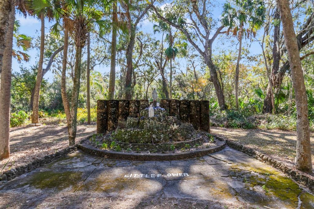 1239 St Anne Shrine Road Lake Wales, FL 33898 - Photo 27 of 27 a view of a yard