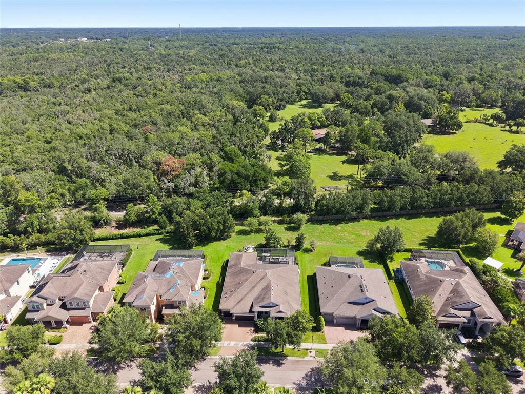 15512 Mossy Ridge Lane Lithia, FL 33547 - Photo 53 of 59