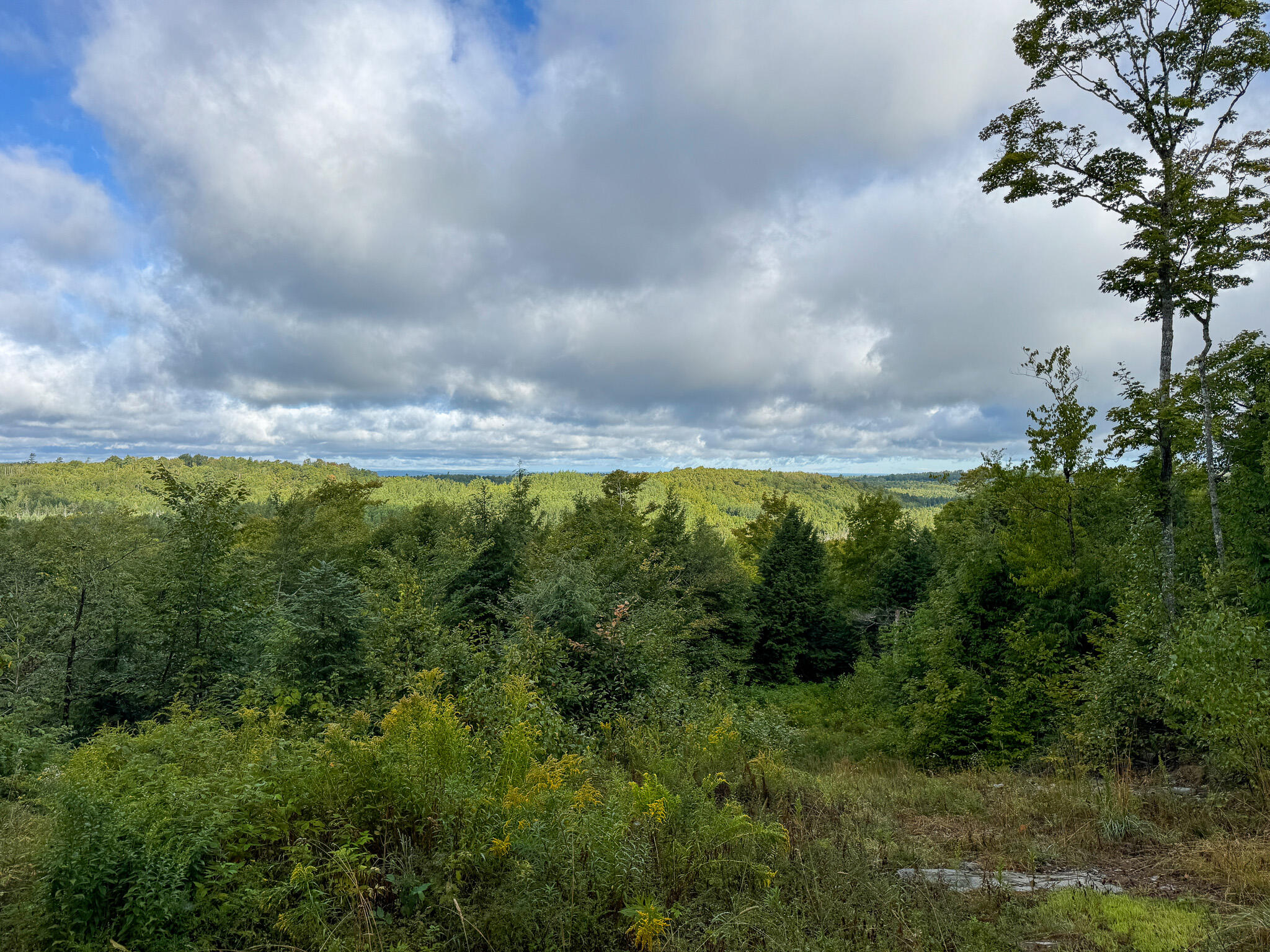 Lot 8-9 Moores Road Springfield, ME 04487 - Photo 20 of 22 20