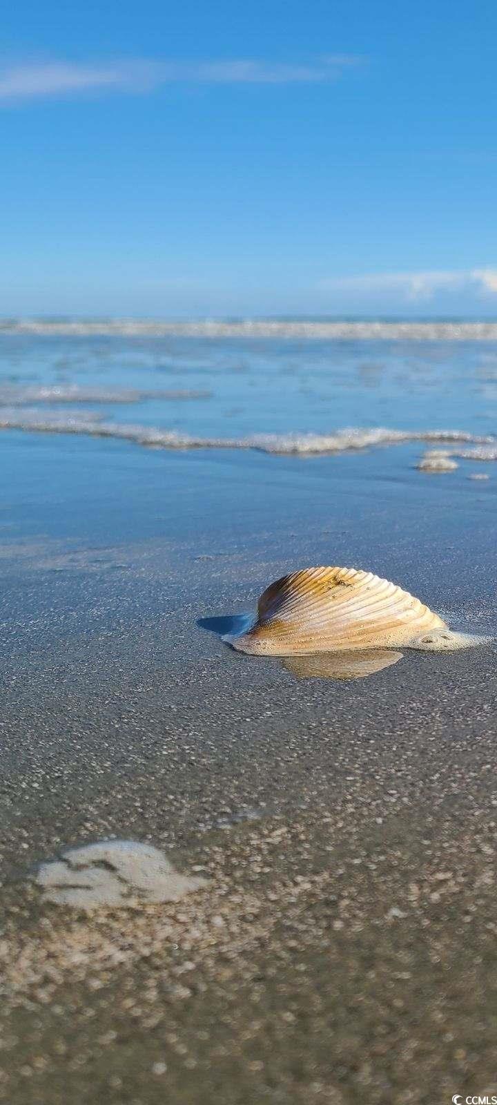 221 Ladyfish Loop Sunset Beach, NC 28468 - Photo 14 of 15