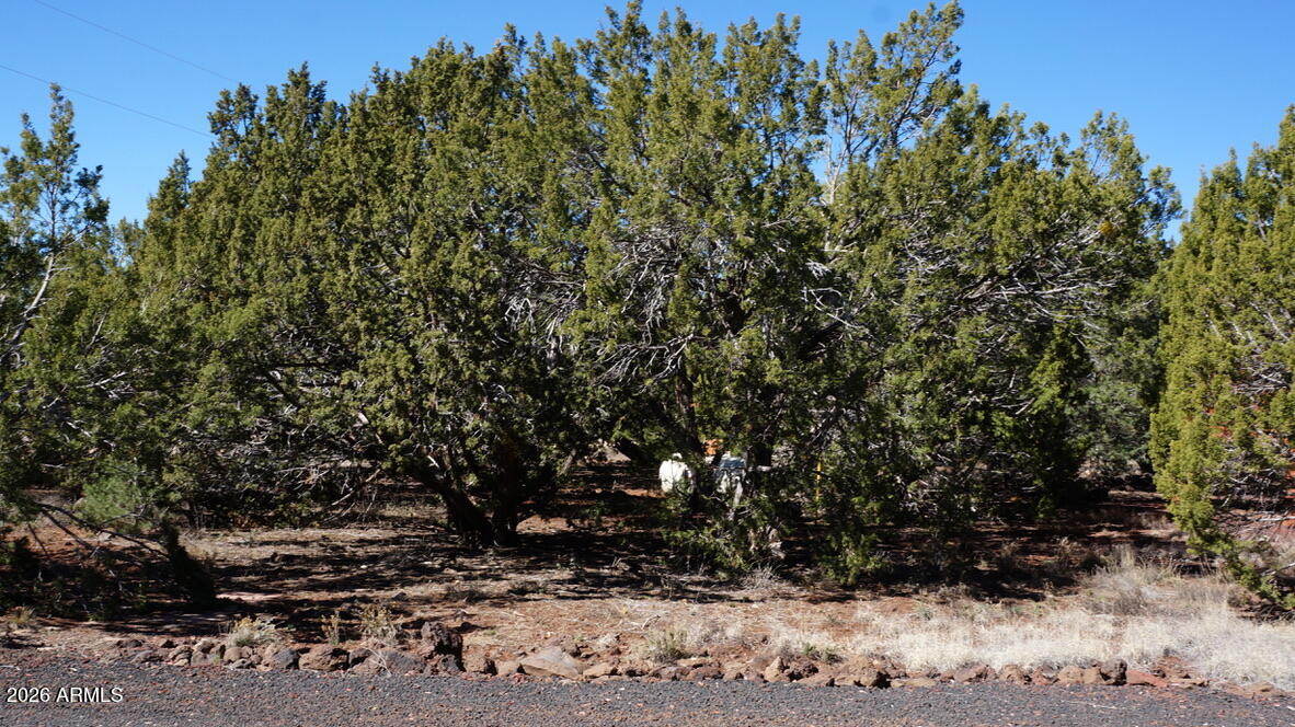 45 County Road, Unit 3323 Show Low, AZ 85901 - Photo 23 of 30 38B483A3-EA9B-4361-8F75-F03A93477DCB_1_1