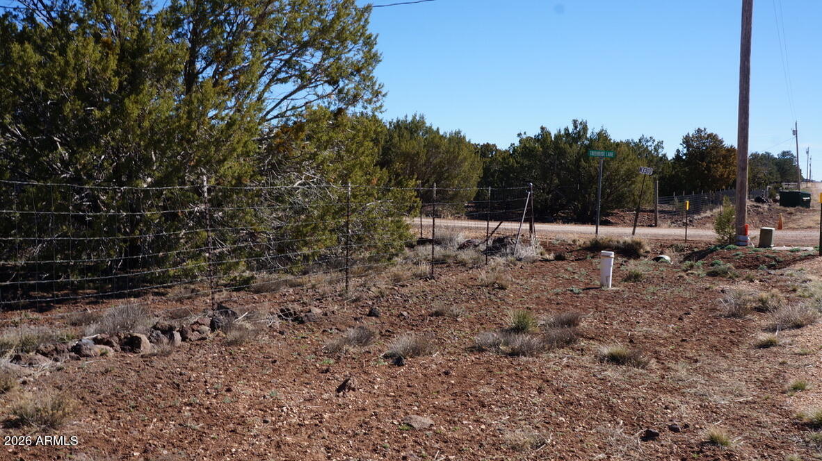 45 County Road, Unit 3323 Show Low, AZ 85901 - Photo 24 of 30 33C604A8-657D-48BC-BBA0-67841E0B568B_1_1