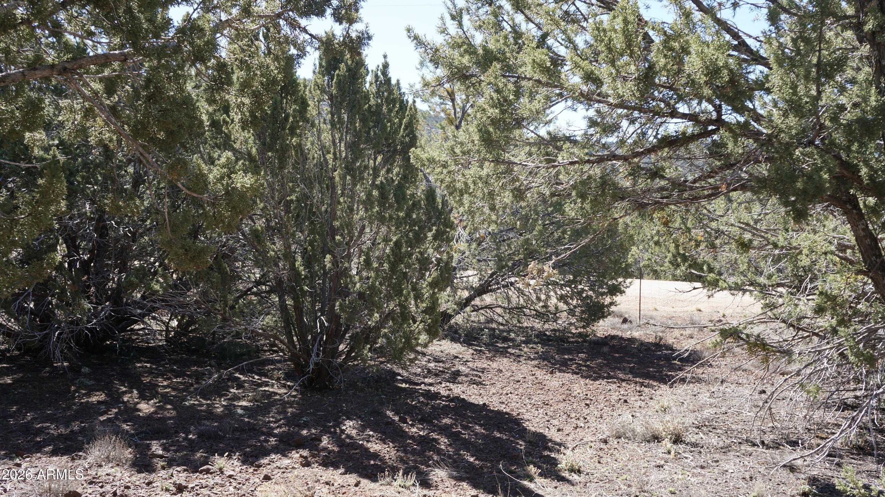 45 County Road, Unit 3323 Show Low, AZ 85901 - Photo 26 of 30 E7A73ED5-F8BC-4D32-BA32-482C2B59F269_1_2