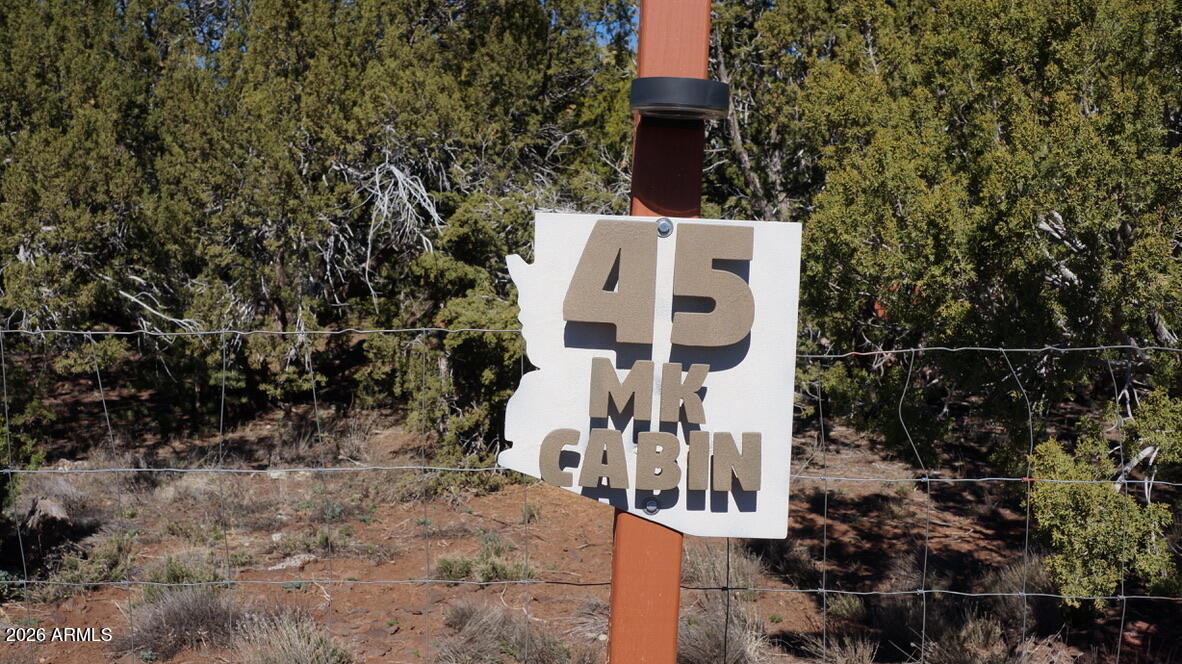 45 County Road, Unit 3323 Show Low, AZ 85901 - Photo 4 of 30 16F1B2AF-99D4-4F52-849B-F6426CA3EE52_1_1