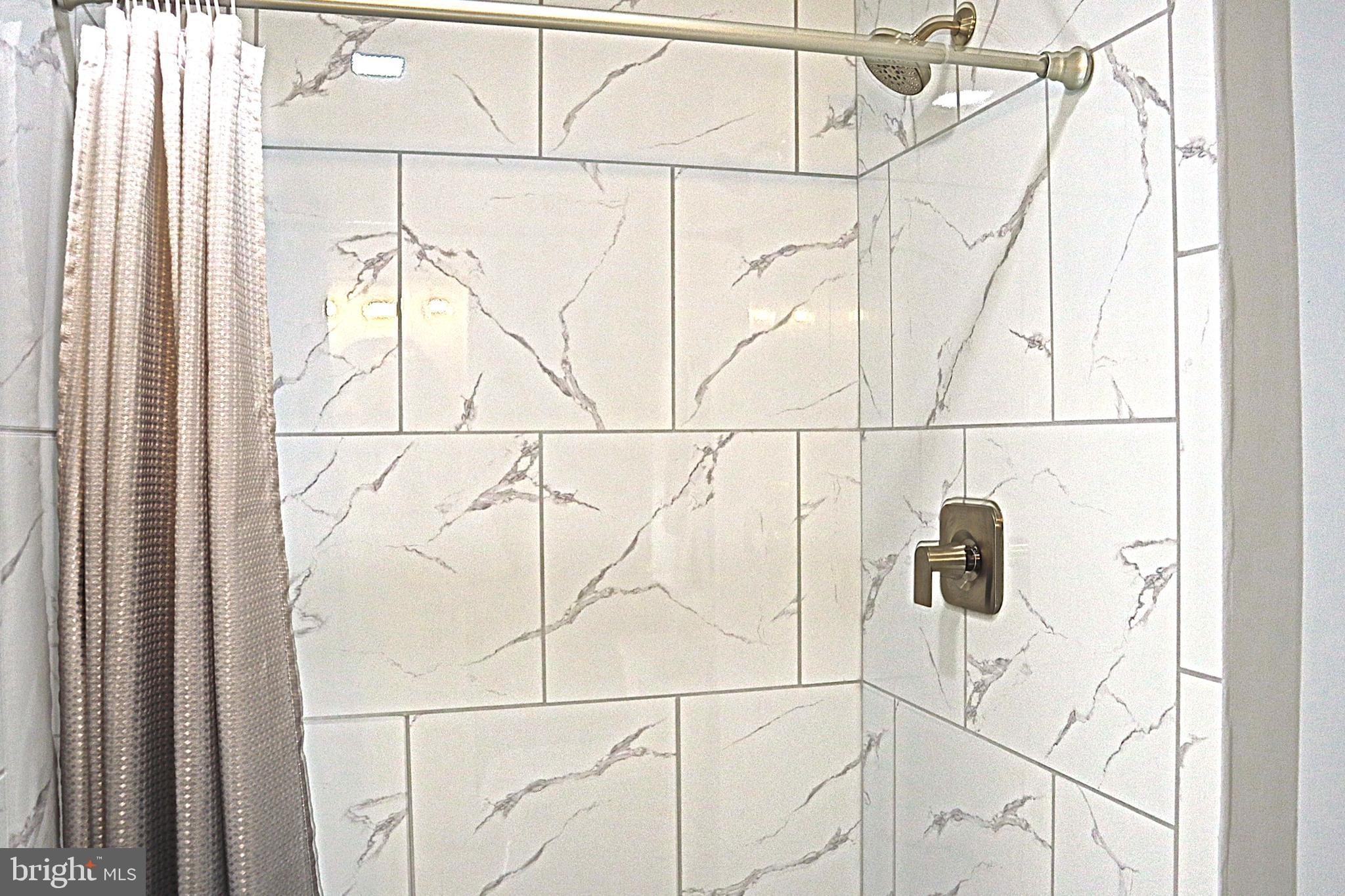 10110 Dallas Avenue Silver Spring, MD 20901 - Photo 24 of 40 Custom shower