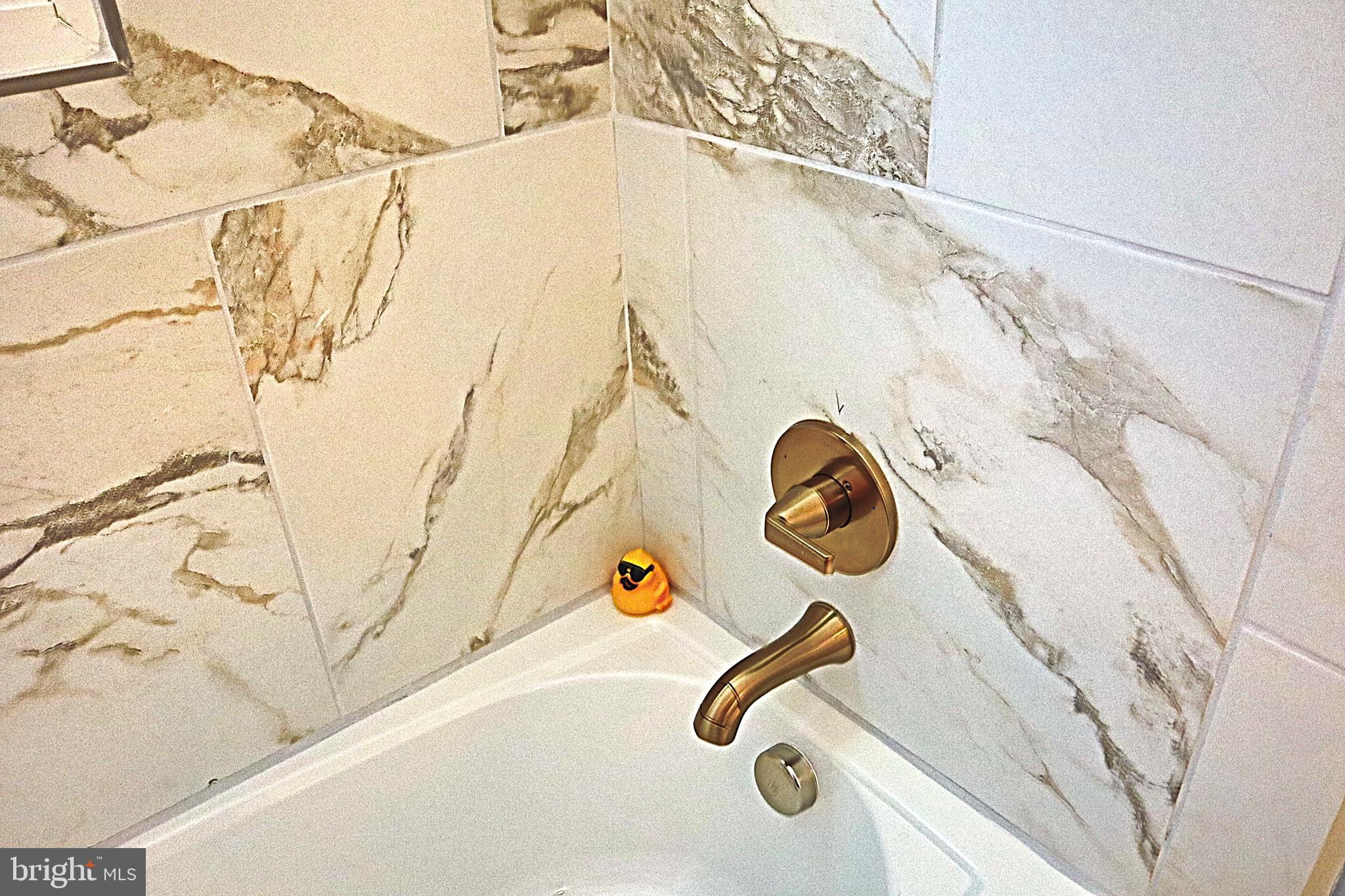 10110 Dallas Avenue Silver Spring, MD 20901 - Photo 37 of 54 Custom tub/shower combo