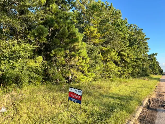 a view of a yard with plants and wooden wall