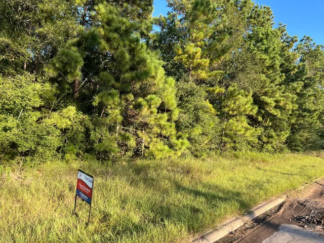 a view of outdoor space and a yard
