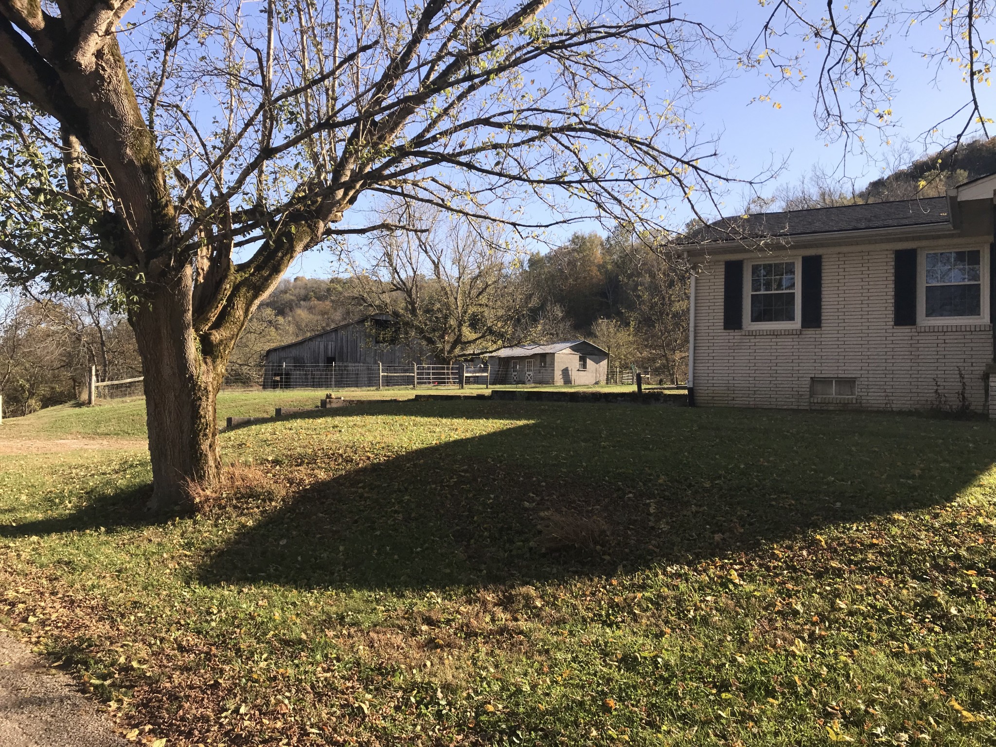 334 Little Salt Lick Road Carthage, TN 37030 - Photo 2 of 25 a view of yard with large tree