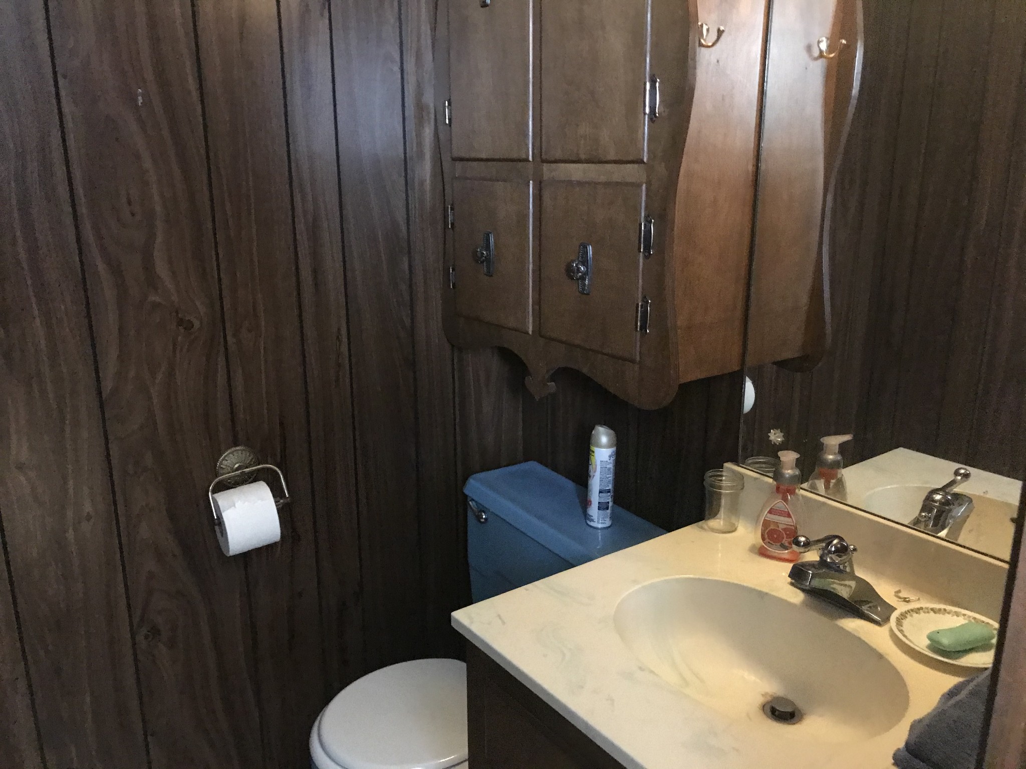 334 Little Salt Lick Road Carthage, TN 37030 - Photo 17 of 25 a bathroom with a sink vanity and toilet