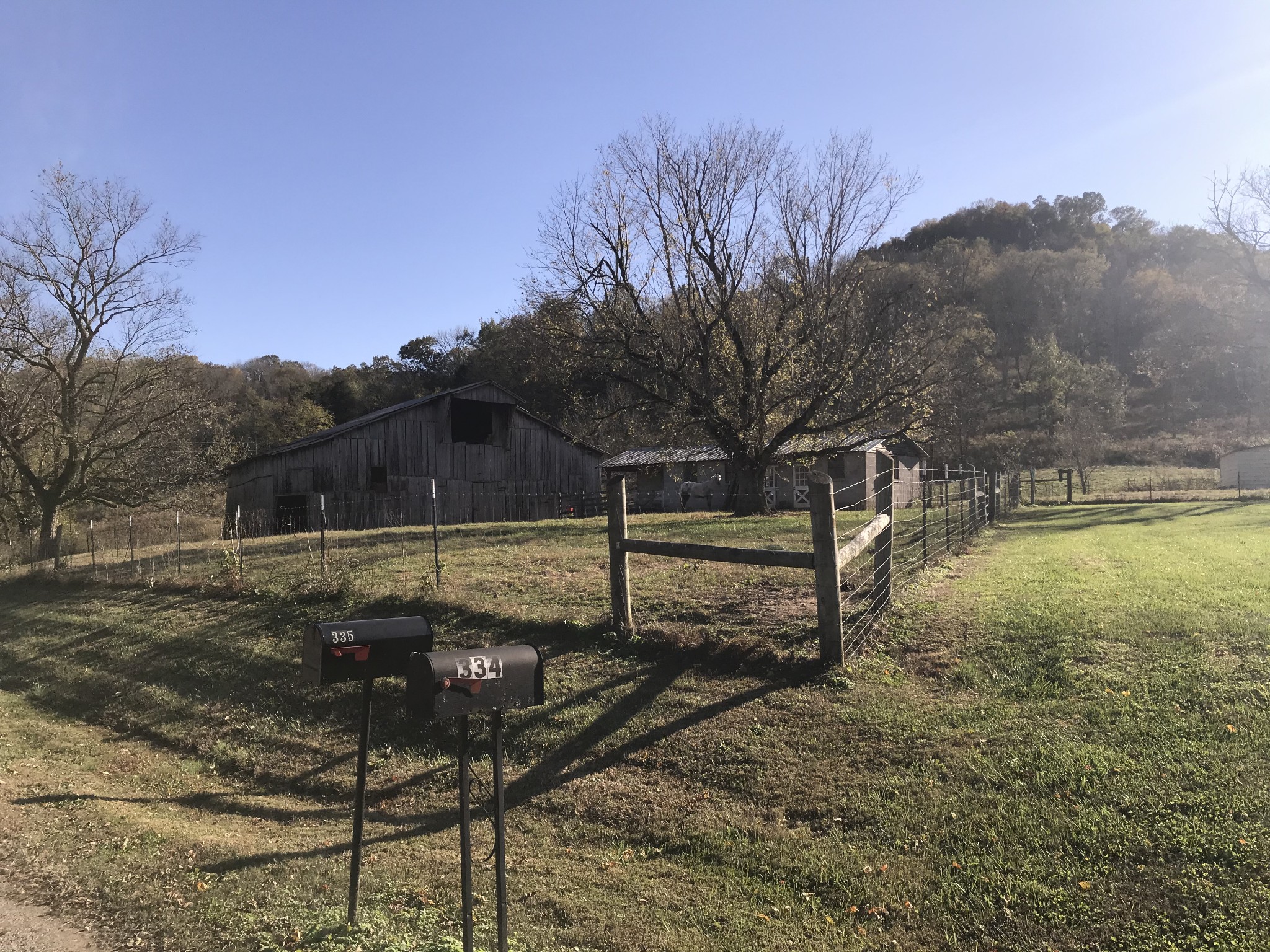 334 Little Salt Lick Road Carthage, TN 37030 - Photo 3 of 25 a view of a back yard